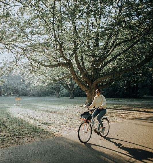 Person riding bike on path through park with frisbee golf and large trees.