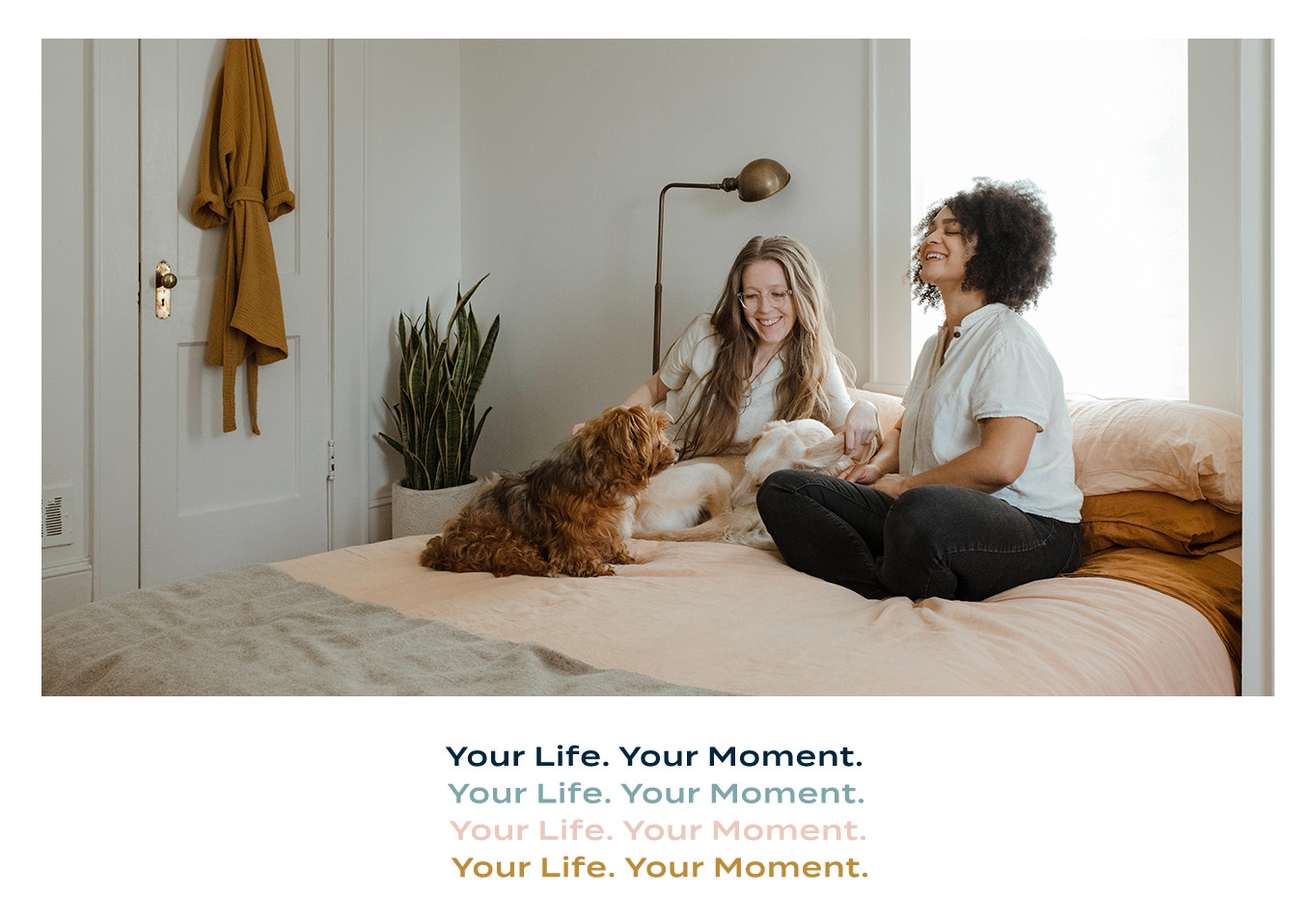 Two ladies on a bed laughing with a dog.